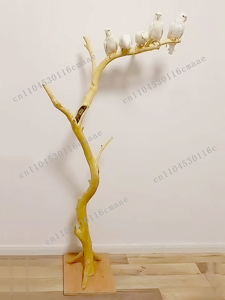 NEW Branch Bird Stand Log Deco - Tech Room Accessories recension och pris